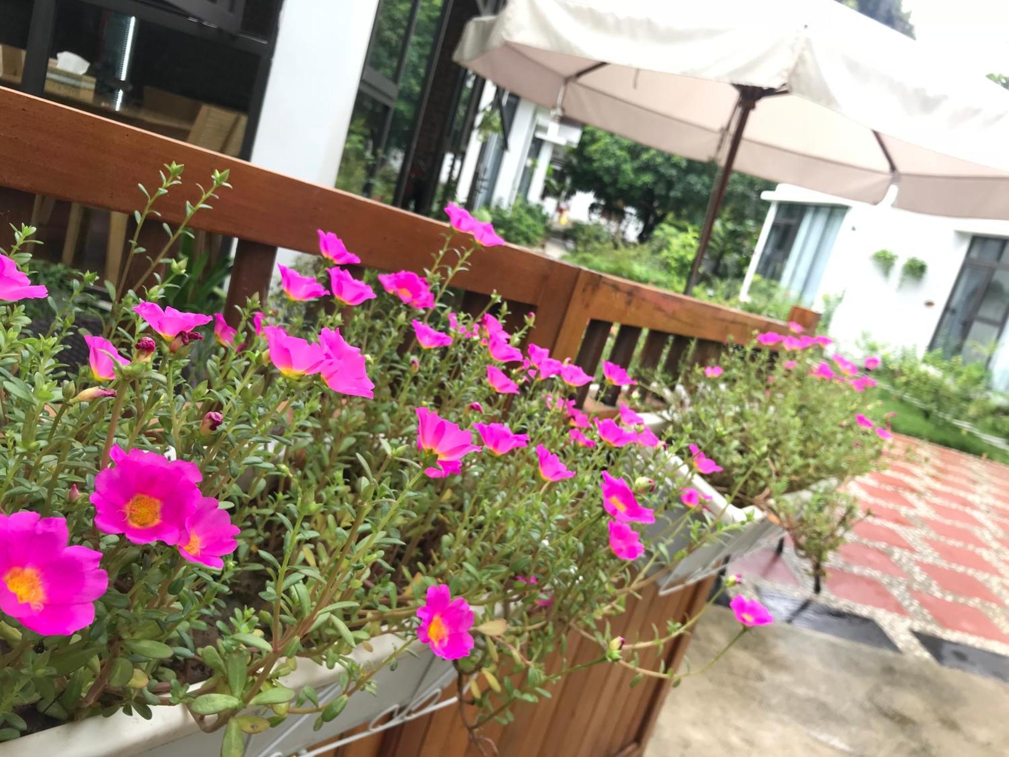 Отель Tam Coc Boutique Garden Ниньбинь Экстерьер фото